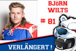Wilts bleibt ein Eisbär