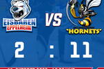 Eisbären unterliegen den Hornets